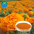 2015 China Manufacturer Pure Natural High Quality Lutein Powder